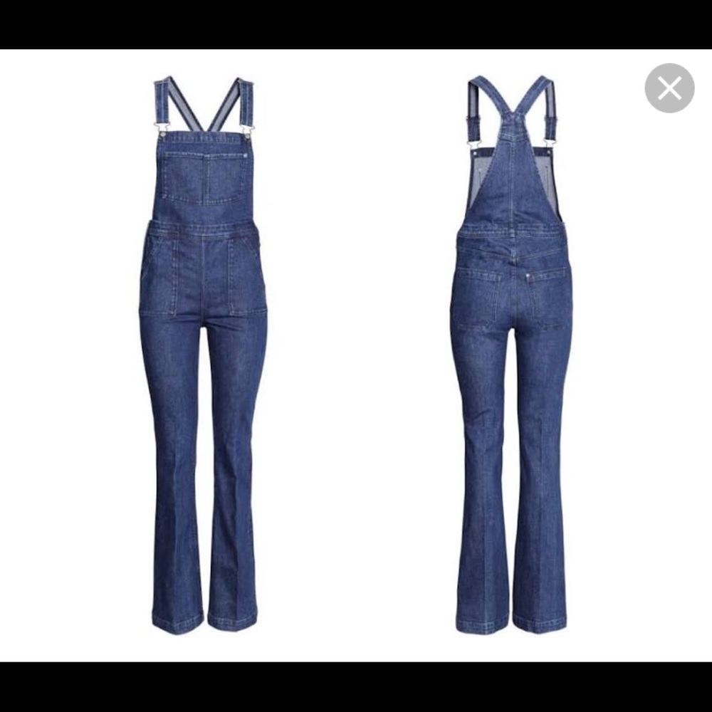 H&M Coachella Wide-leg Overalls